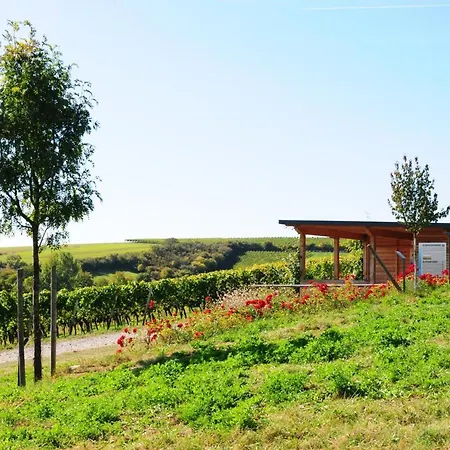 Alte Schmiede فندق