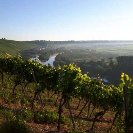 ホテル Alte Schmiede