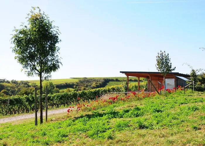 Alte Schmiede Hotell